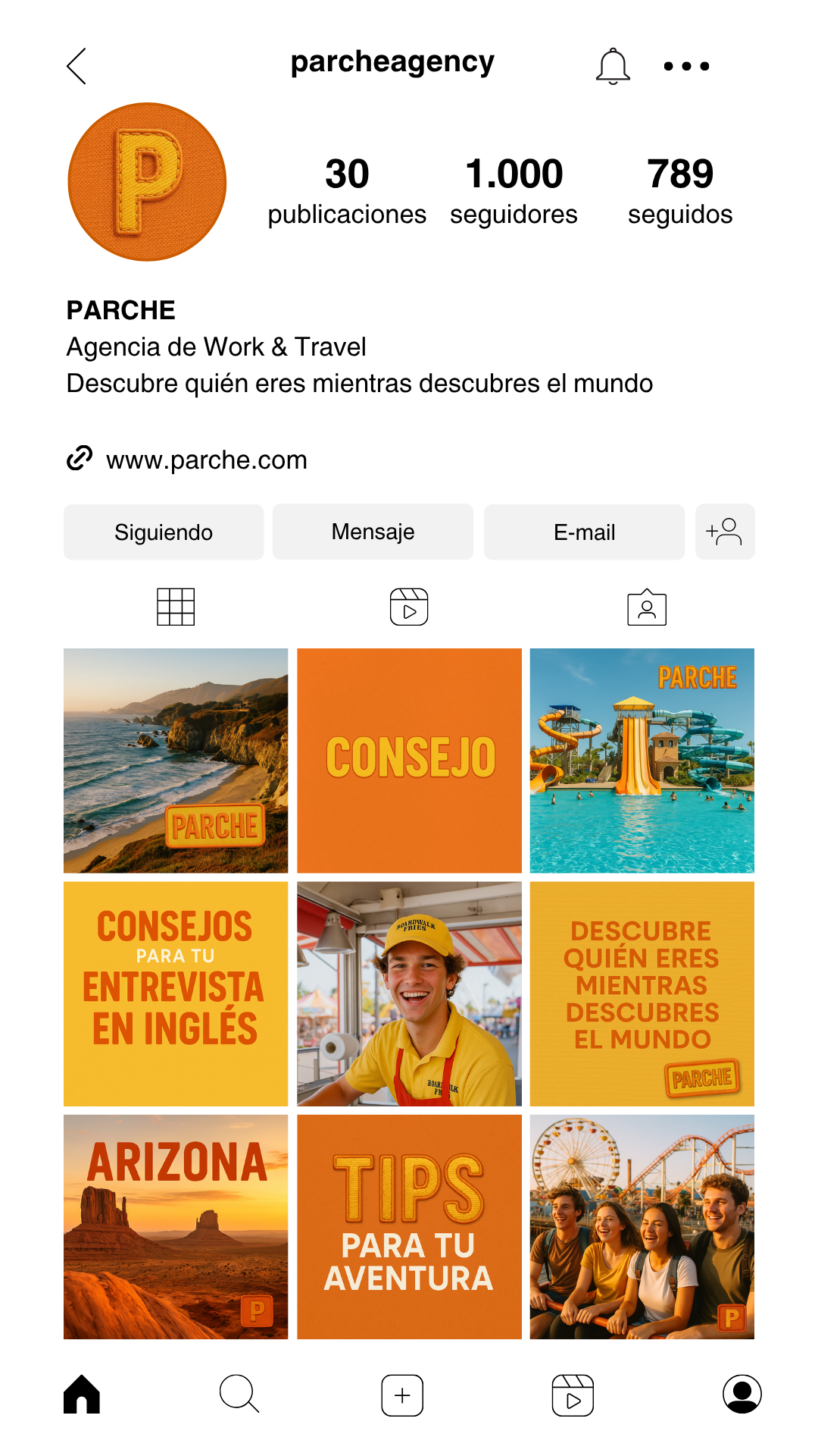 Feed Instagram PARCHE